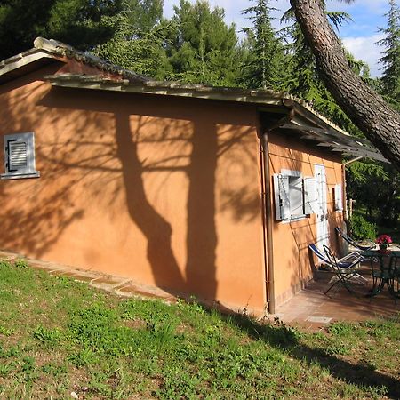 Malvarina Capodacqua  Εξωτερικό φωτογραφία